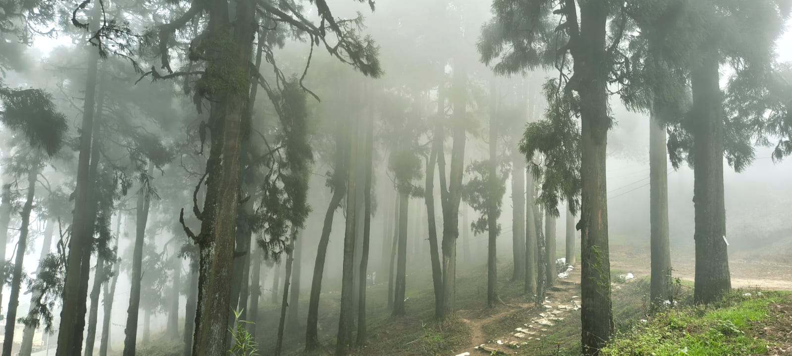 Nature surrounding